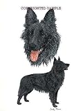 Belgian Sheepdog - Double Image by Cindy Farmer