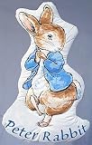 Peter Rabbit Cutout Wall Hanging
