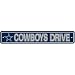 Dallas Cowboys Plastic Street Sign Cowboys Drive