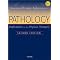 Recommended Physical Therapist Textbooks