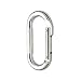 Black Diamond Oval Carabiner