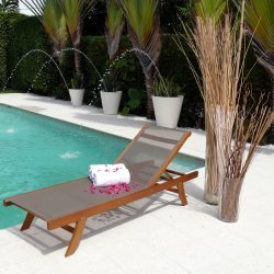 Teak and Mesh Lounge Chair - Iron Gray (Iron Gray Mesh) (34H x 25W x 77D)