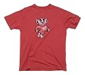 University of Wisconsin Badgers Classic Logo T-Shirt by Red Jacket