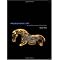 Early Human Art and Technology