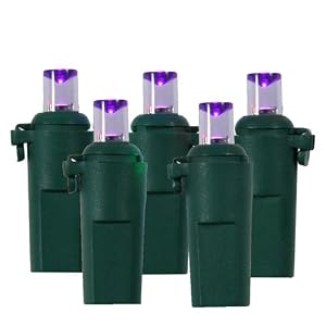 Set of 20 Battery Operated LED Wide Angle Purple Christmas Lights - Green Wire by VCO