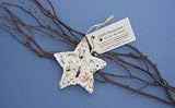 New Cast Paper Art Edible Ornament-Star Set Of 6 Recycled Cotton Fiber Flowers No Mess Seeds