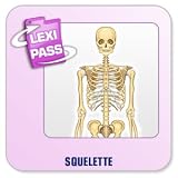 Revue Conitiv - Synchron  / Lexminder Anglais - Logiciel pour mémoriser du vocabulaire - Squelette