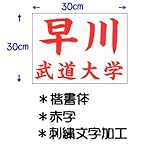 ��N�i�N�T�N���j���������p�_���[�b�P���i�h�J�������H�j30�~30cm ������ �Ԏ� JT53030KAR