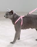 East Side Collection Luxury Lace Cat Harness w/Matching Lead