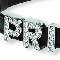 Dickens' Closet Create-a-Collar Crystal T 10mm Charm
