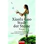 Stadt der Steine: Roman
