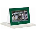Happy Birthday Greeting Card by Anonymous
