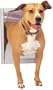 PetSafe Classic Pet Door