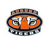 ALFRED HITCH HTCH CVR AUBURN TIGERS