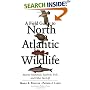 A Field Guide to North Atlantic Wildlife: Marine Mammals, Seabirds, Fish, and Other Sea Life