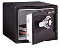 Sentry DS0200 Safe 1 Hour Fireproof Combination Safe, 0.8 Cubic Feet, Black