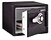Sentry DS0200 Safe 1 Hour Fireproof Combination Safe, 0.8 Cubic Feet, Black