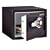 Sentry DS0200 Safe 1 Hour Fireproof Combination Safe, 0.8 Cubic Feet, Black