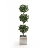 Review i-koncepts Ltd  / 6ft Triple Bay Ball Topiary with Natural Stem - Artificial Plant