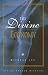 Book Divine Economy, The