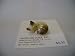 Kitchen & Housewares : Hagen Renaker Sleeping Kitten