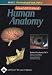Book Acland's DVD Atlas of Human Anatomy, DVD 5: The Head and Neck, Part 2: Disc 5