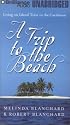 Trip to the Beach, A