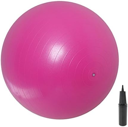 Yoga Gym Exercise Gym Swiss Stability Ball with Pump