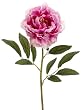 Six Pieces of 29" Artificial Peony Spray with Leaves