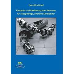 Konzeption und Realisierung einer Steuerung f�r vielsegmentige, autonome Kanalroboter