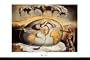 Geopoliticus Child Poster Print by Salvador Dal�, 36x24 Poster Print by Salvador Dal�, 36x24