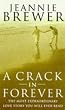 A Crack in Forever
