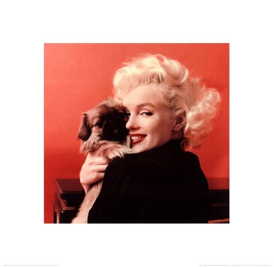 Marilyn Monroe and Puppy Art Poster Print, 16x16