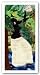Flow Waters Seep - Giclee by Willie Torbert 19