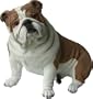 Bulldog Life Size K-9 Kreations Statue (Fawn)