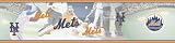 Blue Mountain Wallcoverings 5815418 NY Mets MLB Prepasted Wall Border, 6-Inch by 15-Foot