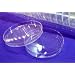 Petri Dishes (20/ pk)
