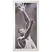 Mounted Memories Boston Celtics Bill Russell Autographed Picture