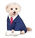Rubies Business Suit Pet Costume for Dogs or Cats, XL