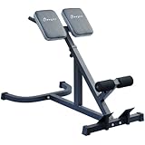 Soozier 45 Degree Hyperextension Roman Chair