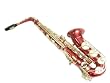 Cecilio Red Lacquer With Gold Accents Alto Saxophone Kit
