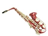 Cecilio Red Lacquer With Gold Accents Alto Saxophone Kit