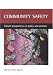 Community Safety: Critical Perspectives on Policy and Practice