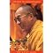 Tibetan Buddhism - Beginner to Advanced