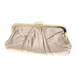 ALDO Cribb - Women Clutches