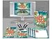 Match Game DVD