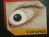 XtremeEyez 3 Months Wear Contact Lenses With Free 60ml Solution & Free Lense Case - Corunus