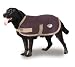 Sporting Goods : Weatherbeeta Thermo-Cell Dog Blanket - New for 2008