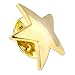 Gold Star Lapel Pin