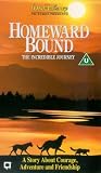 Review Walt Disney Home Video  / Homeward Bound (1993) (Disney)